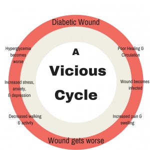 Diabetic Wound Cyle